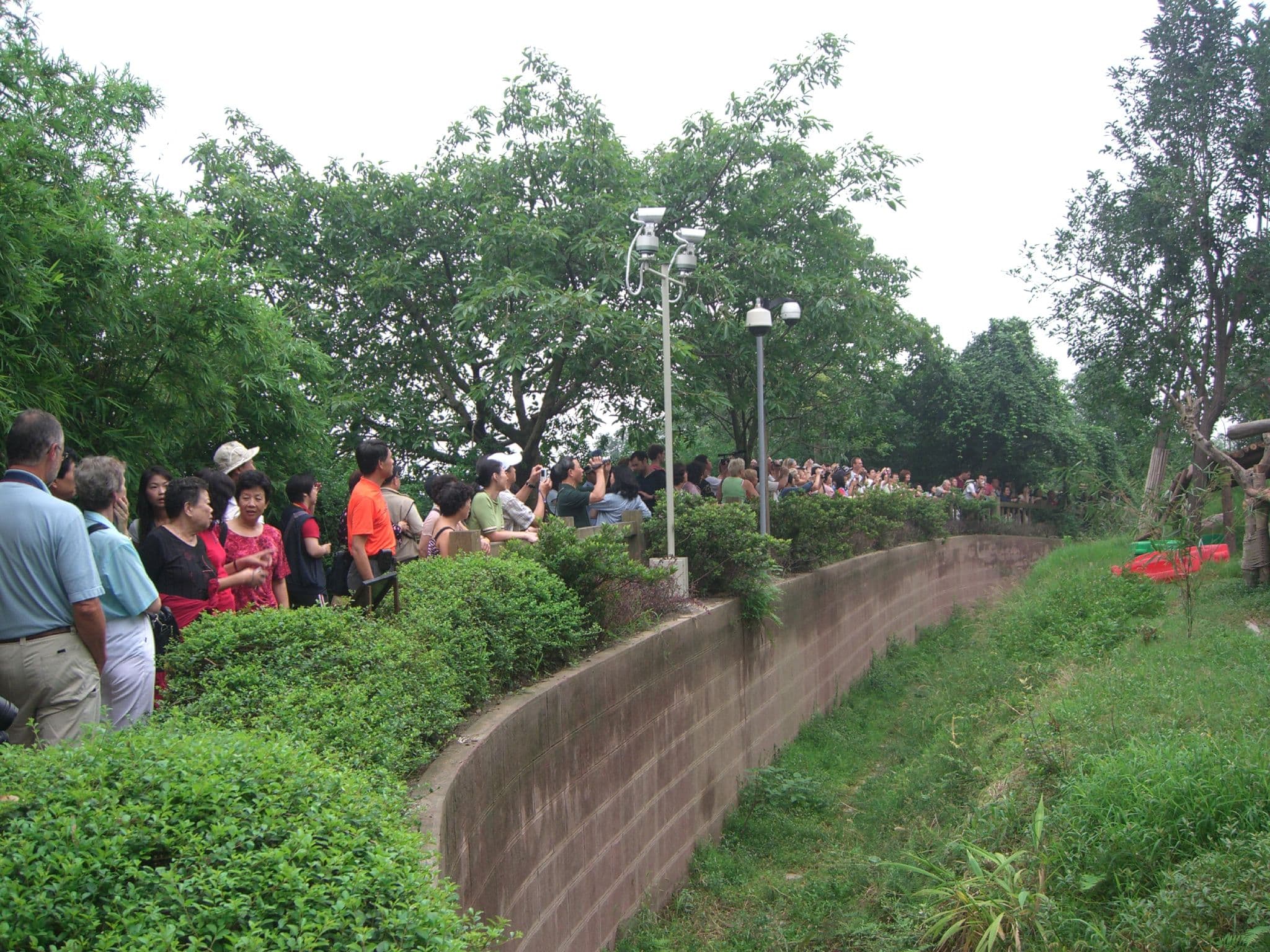 Chengdu Research Base of Giant Panda Breeding in Sichuan