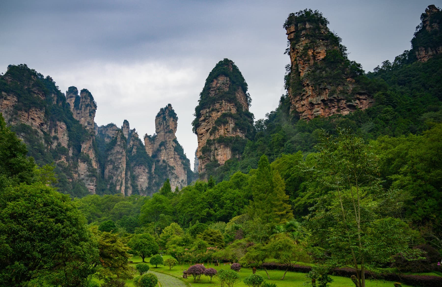 Sandstone pillar forest in Zhangjiajie National Forest Park
