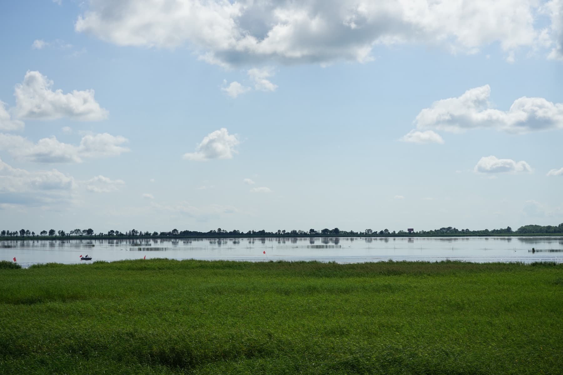 Qiqihar: Qiqihar Cranes