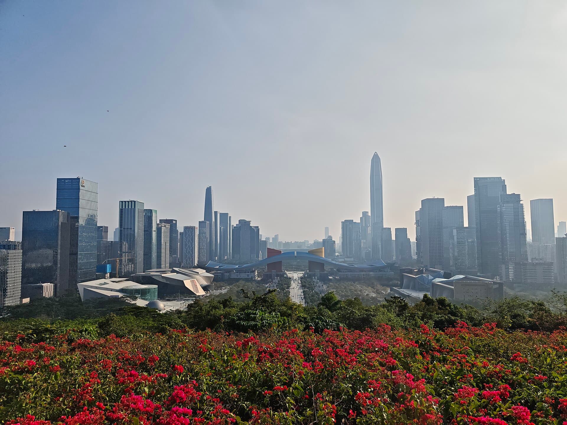 Shenzhen Futian city view used to explain first-city movement